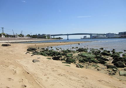 芦屋浜（芦屋川河口）